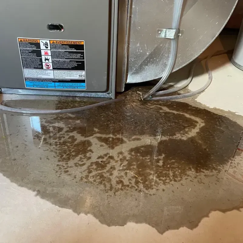 Appliance Leak Cleanup in Cozad, NE